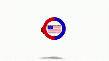 Frustrated Vote GIF by Irreconcilable Differences