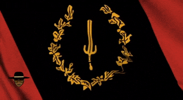 Flag GIF by Tomasauk