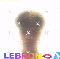 Lebron GIF