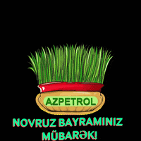 Novruz Benzin GIF by AzpetrolLtd.MMC