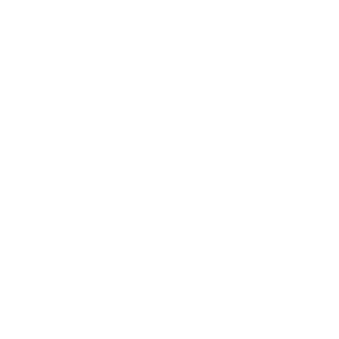 Noma Collective Sticker