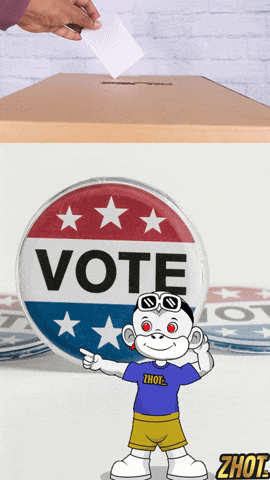 Voting Election Day GIF by Zhot