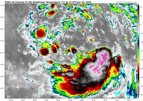 giphy.gif?cid=9b38fe919dnsffrryecorcz0oy