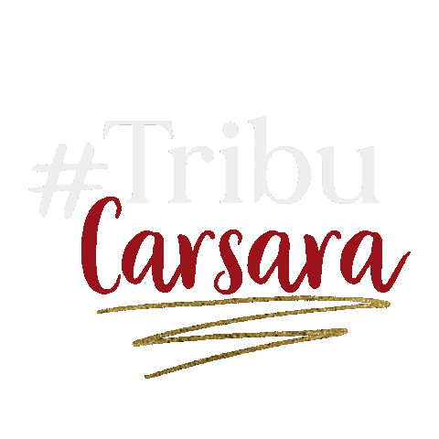 Carsara Interventora Sticker