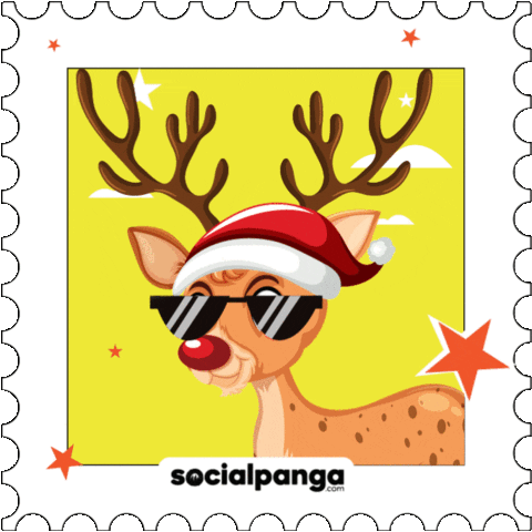 Christmas Tree GIF by Social Panga