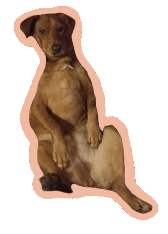 Redvalentinesday Sticker