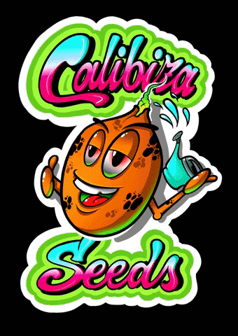 Calibiza Seeds Co. GIF