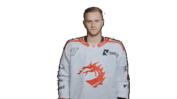 Trinec Sticker by HC Oceláři Třinec