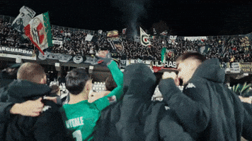 Serie B Win GIF by Ascoli Calcio 1898