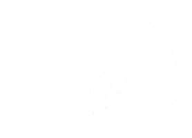 Snow Flower Sticker