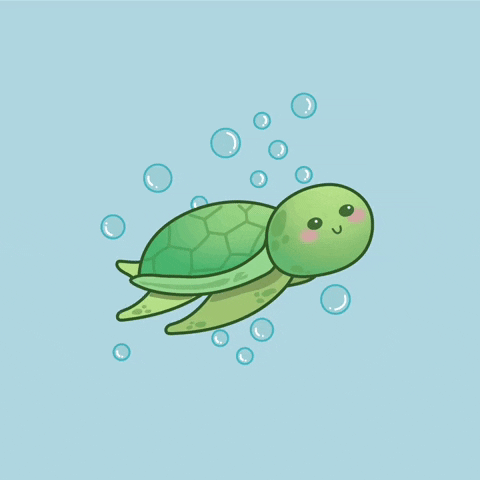 Sea Turtle Swimming GIF