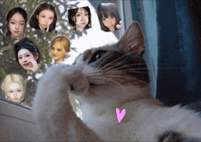 Obd GIF