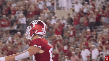 Celebrate GIF by Indiana Hoosiers