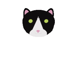 Cat Sticker