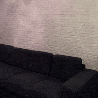 Manchester United Football GIF