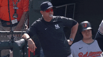 New York Whatever GIF by YES Network