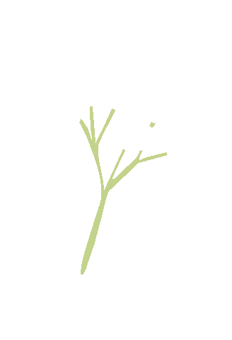 Flowers Sticker