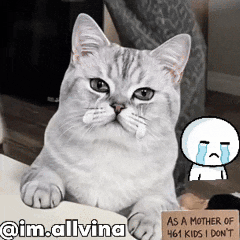 Dancingmom GIF