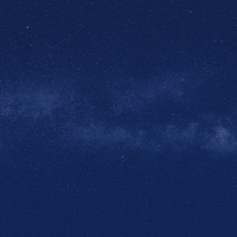 CatDevAI GIF