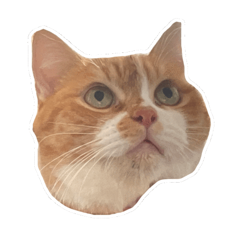 Cats Fuku Sticker