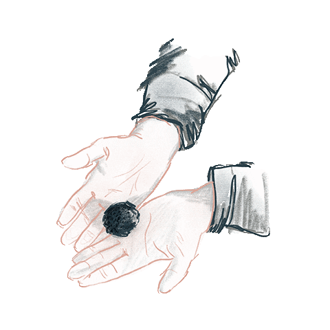 Manjares de la Tierra Sticker