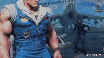 Video Game Guile GIF by CAPCOM