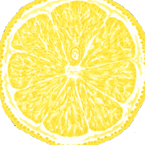 pastorebrewing spiral vanish limone pastore GIF
