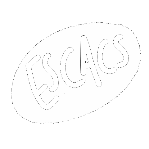 Sus Sticker