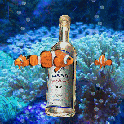 Ouzo Clownfish GIF