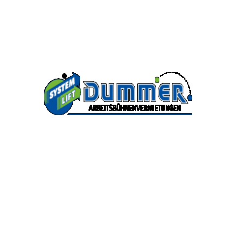 System Lift Dummer Sticker