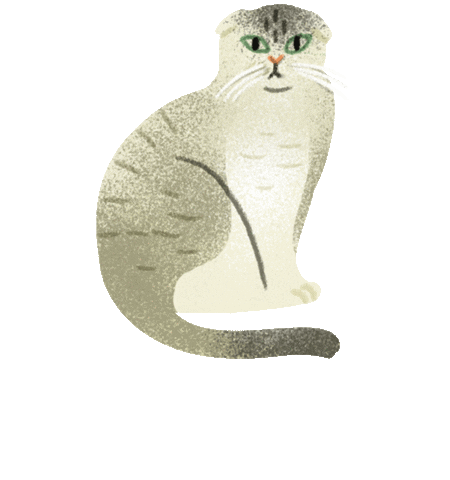 Animated Sticker