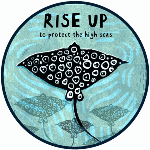 GIF by RISE UP for the Ocean