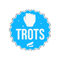 CSE Topsportacademie Sticker