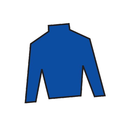 Horse Racing Sticker by Kentucky Derby