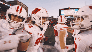Excited College Football GIF by Wisconsin Badgers