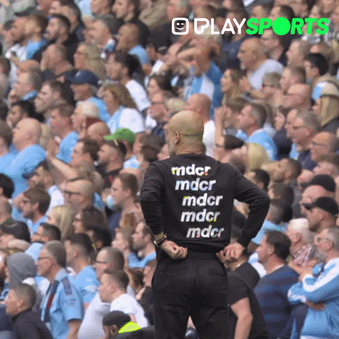 Happy Premier League GIF by Play Sports