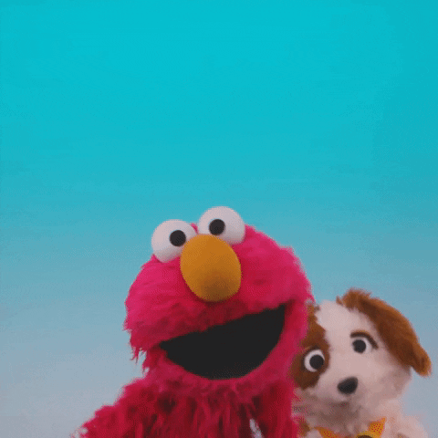 Close Up Love GIF by Sesame Street