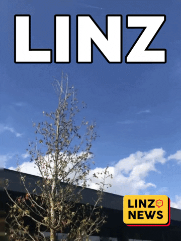 Sky Uni GIF by Linz News