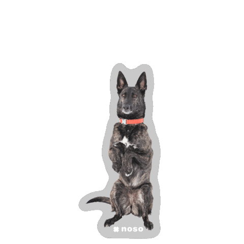 Sticker by nosopatches