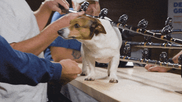 GIF by Mud Hole