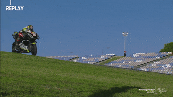 Johann Zarco Rollercoaster GIF by MotoGP