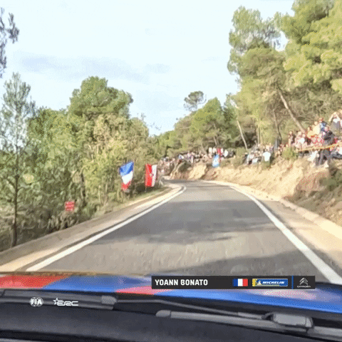 Racing Driving GIF by FIA European Rally Championship