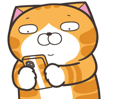 Lanlancat What GIF by MochiDad