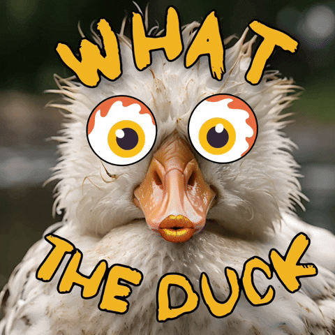 What The Duck GIF by Maryanne Chisholm - MCArtist