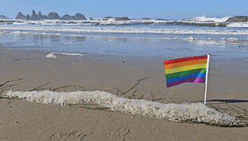 Rainbow Beach GIF by AceArchive