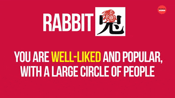 Chinese Rabbit GIF by BuzzFeed