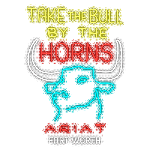 Fort Worth Texas Sticker by Ariat