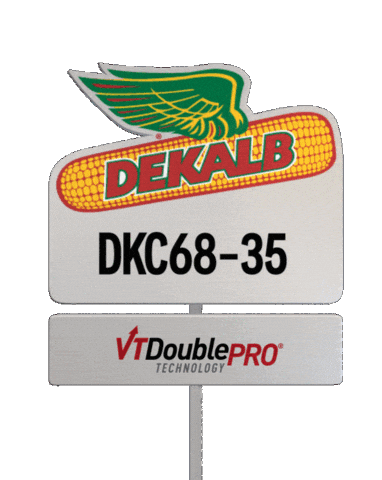 Farm Corn Sticker by DEKALB Asgrow Deltapine