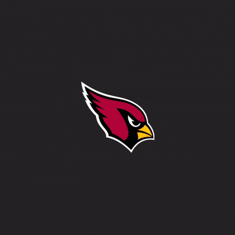 Red Sea Touchdown GIF by Arizona Cardinals