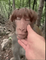 Relaxing Its Okay GIF